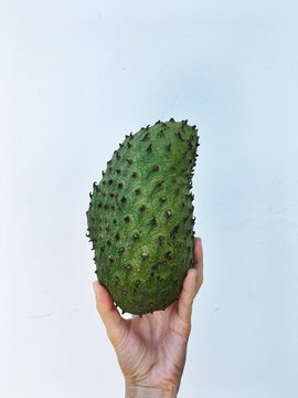 Woman holding a Soursop fruit, Seychelles
