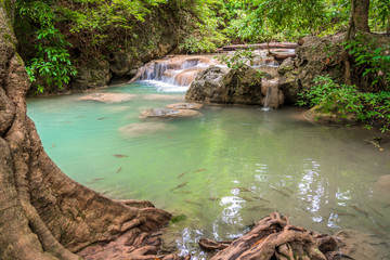 Fototapeta premium Water fall wildlife Kanchanaburi Thailand