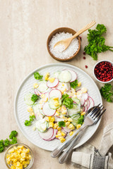 Summer vegetarian radish, cucumber corn goat cheese salad with yogurt dressing. Top view, space for text.