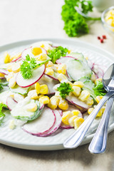 Summer vegetarian radish, cucumber corn goat cheese salad with yogurt dressing. Selective focus, space for text.