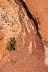 Obraz premium Sandstone Rock Formation