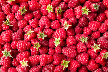 Heap of ripe aromatic raspberries