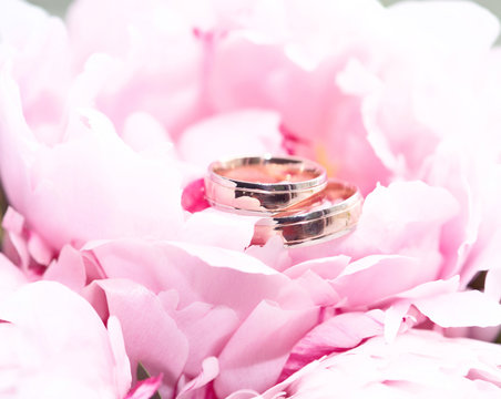 Close-up of wedding rings on a pink peony flower