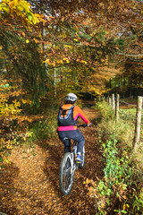 im Herbstwald unterwegs mit dem MTB