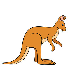 Cartoon animals. Cute beautiful kangaroo smiles.