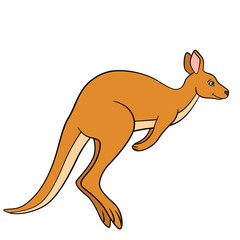 Cartoon animals. The cute kangaroo runs.