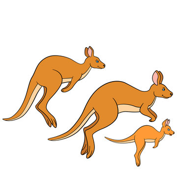 Cartoon animals. The kangaroo family runs.