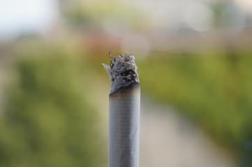 cigarette