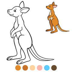 Color me: kangaroo. Little cute baby kangaroo smiles.