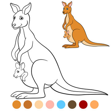 Color me: kangaroo. Mother kangaroo with her little baby.