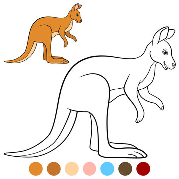 Color me: kangaroo. Cute beautiful kangaroo smiles.