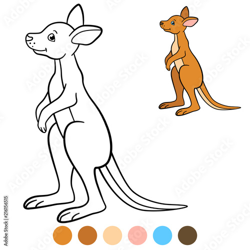 Color Me Kangaroo Little Cute Baby Kangaroo Smiles Stock Image