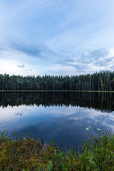 Fototapeta premium Landscape of the forest lake in Europe