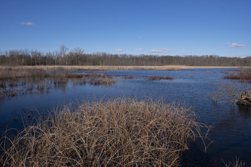 Reed's Lake