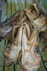 Stockfisch /Norwegen