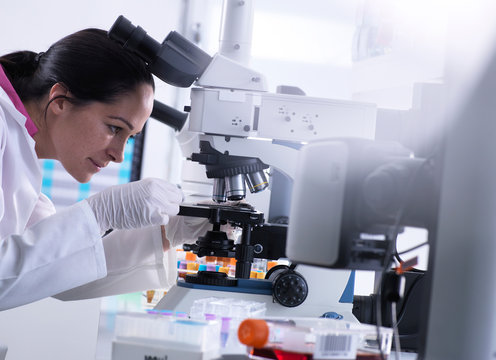 Scientist viewing human sample on glass slide under microscope