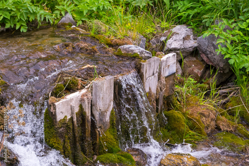 Wall mural A small waterfall between the stones and two wooden planks among the green grass from a creek with clear mountain water