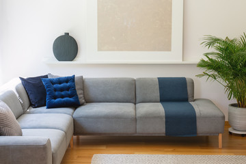 Blue pillows on grey corner couch in living room interior with plant and poster. Real photo