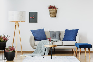 Sofa with pillows and blanket