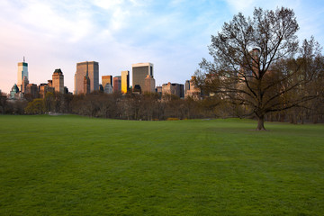 Fototapeta na wymiar Sheep Meadow at Central Park and Midtown skyline, New York City, NY, USA