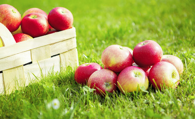 Äpfel mit Korb