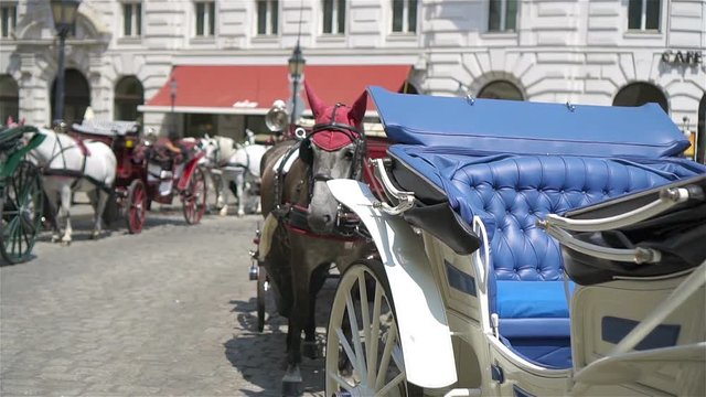 Traditional horse coach Fiaker in Vienna Austria