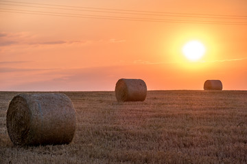 Strohrollen bei Sonnenuntergang