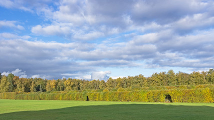 The autumn. The white clouds in blue sky over field and trees in the park. The sunny day.