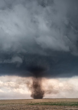 Landspout transforms into mesocyclone tornado under cumulonimbus, Cope, Colorado, US