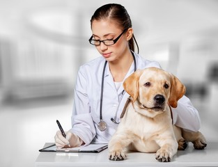 Fototapeta na wymiar Beautiful young veterinarian with a dog