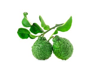 Obraz premium bergamot on white background