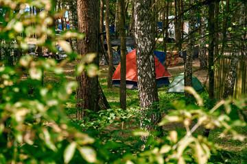tent city forest