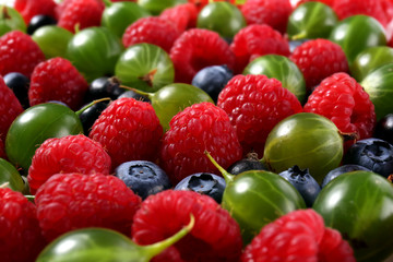 Obraz na płótnie Canvas Delicious ripe berries, closeup