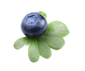 Ripe blueberry on white background