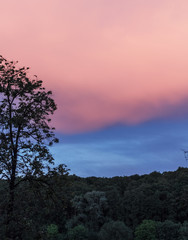 Blue-pink sky above trees