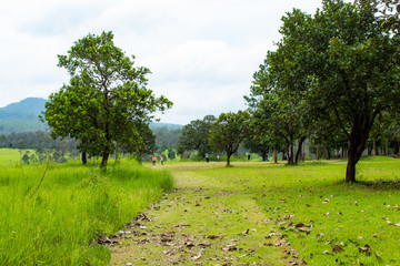 Tourists in meadow at Thung Salaeng Luang , Phetchabun in Thailand.