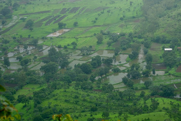 Lush green monsoon nature landscape mountains, hills, Purandar, Maharashtra, India 