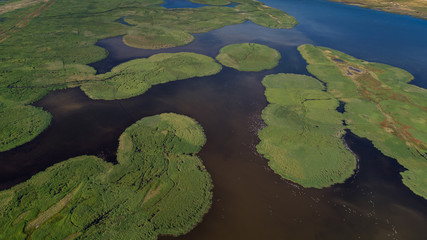 Danube Delta, Romania