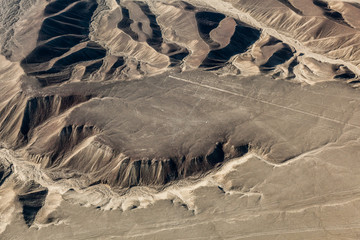 Nazca Lines, the hummingbird