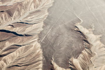 Fototapeta na wymiar Nazca Lines, the hummingbird
