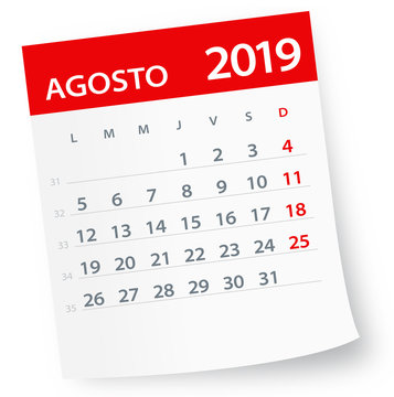 August 2019 Calendar Leaf - Vector Illustration. Spanish version