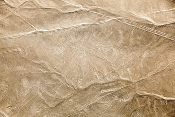 Nazca Lines, the monkey