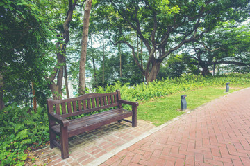 Tree-lined brick path through the forest at Fort Canning Park, one of Singapore's public green spaces.