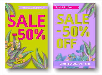 Colorful sale 50% off cards with eucalyptus.