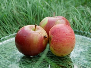 Polonne / Ukraine - 01 August 2018: apples on a glass plate