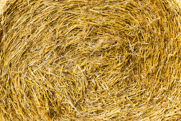 Round hay - natural background