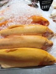 Fresh salmon fish in the ice on the market