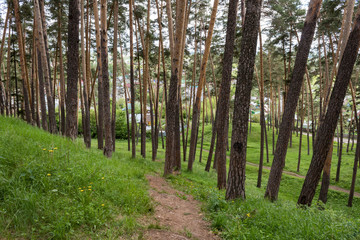  Leninsky Park