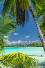 Paradise view of Rangiroa atoll, French Polynesia
