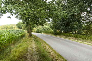 Rural road in czech countryside.